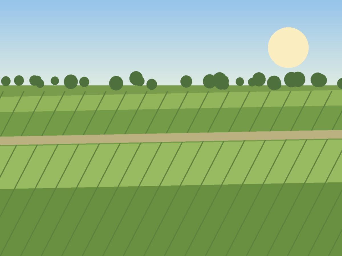 1 Acre Land for sale @ 35 Lakhs in Thimmaipalli ,Siddipet
