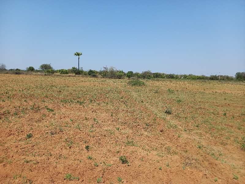 4 Acre Agricultural/Farm Land for Sale in Ponnala, Siddipet