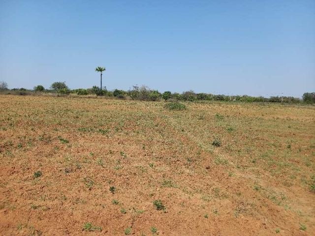 4 Acre Agricultural/Farm Land for Sale in Ponnala, Siddipet
