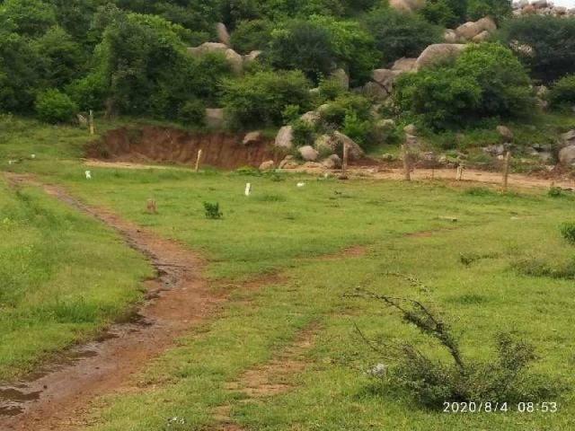 337 Sq. Yards Residential Plot for Sale in Karimnagar, Siddipet
